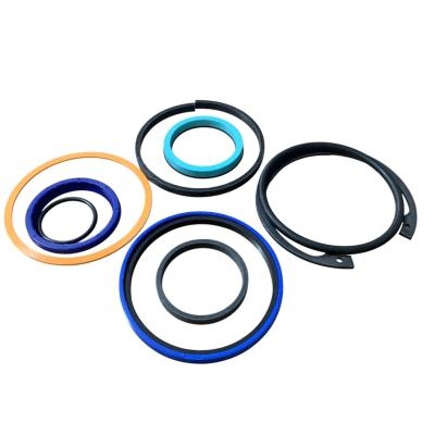 Bộ Vòng Đệm Xy Lanh Nghiêng RAYMOND 1152887/01