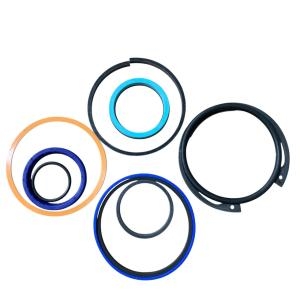 Bộ Vòng Đệm Xy Lanh Nghiêng RAYMOND 1152887/01